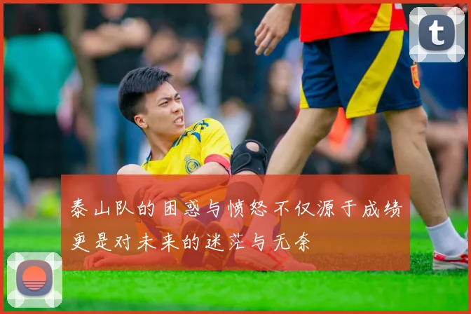 泰山队的困惑与愤怒不仅源于成绩更是对未来的迷茫与无奈